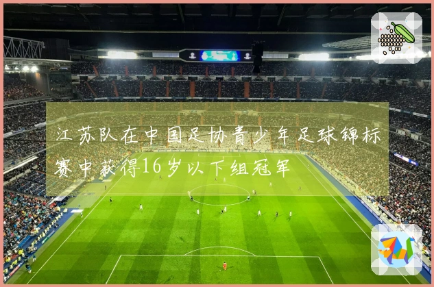 江苏队在中国足协青少年足球锦标赛中获得16岁以下组冠军