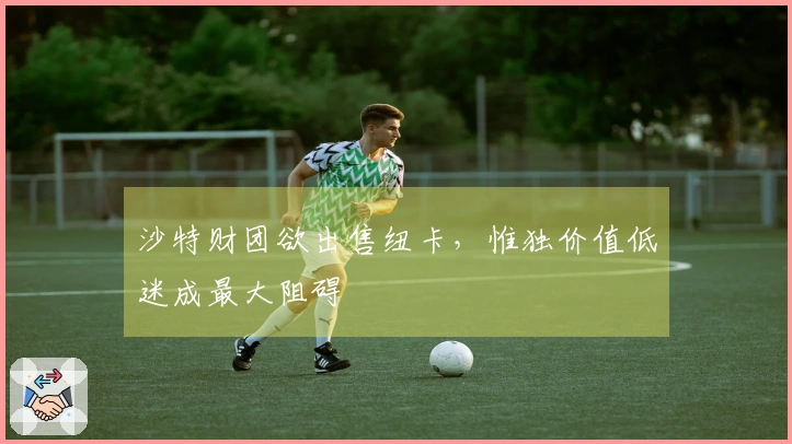 沙特财团欲出售纽卡，惟独价值低迷成最大阻碍